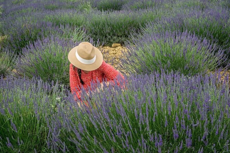 south of France itinerary - lady in straw hat in lavender fields